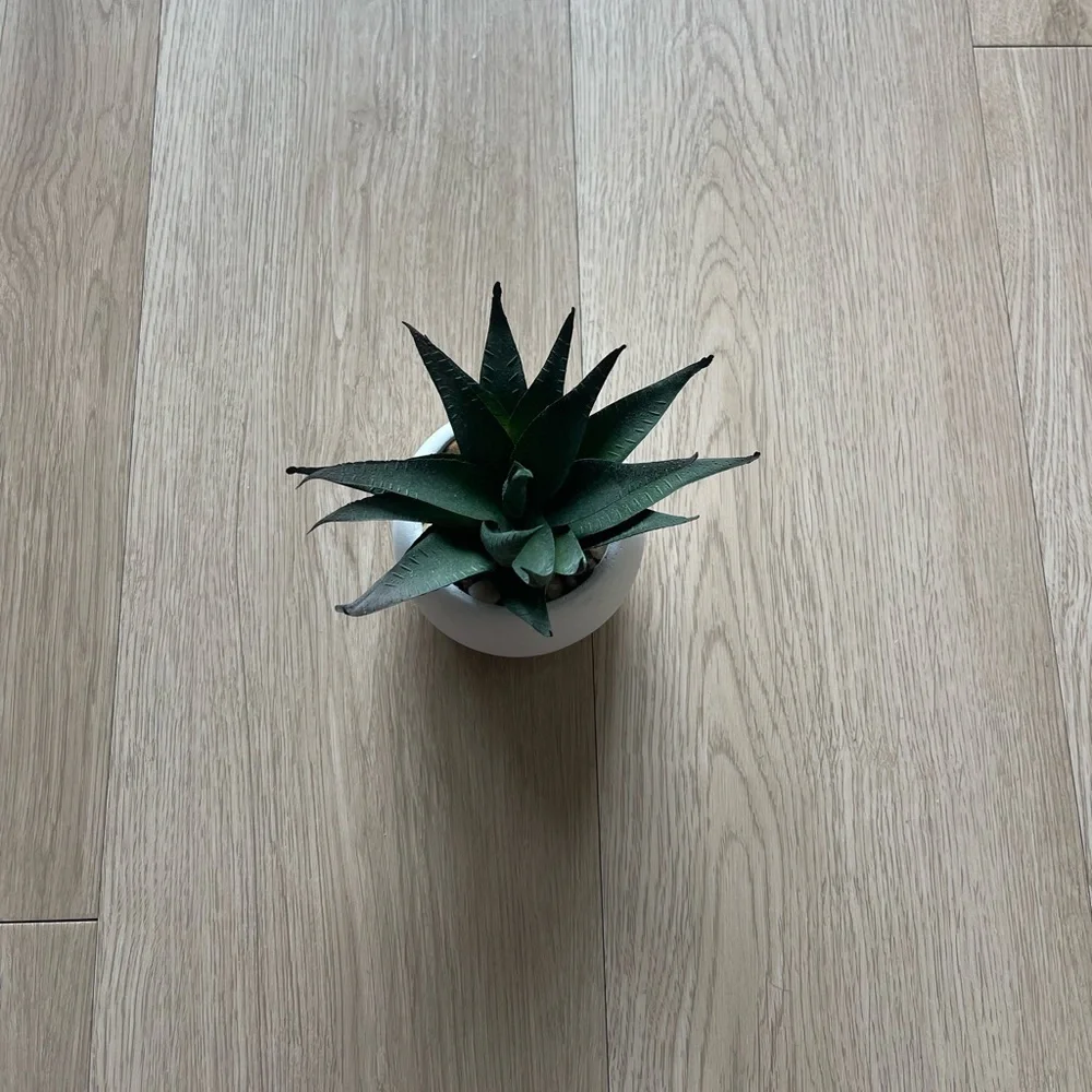 Faux Potted Aloe Succulent